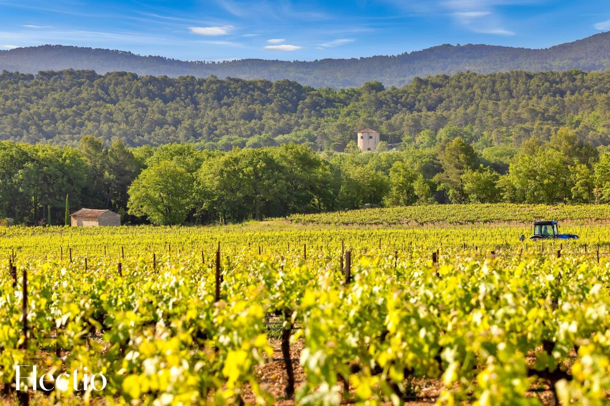Aparthotel Bastide Domaine Tour Campanets Le Puy-Sainte-Réparade Zewnętrze zdjęcie