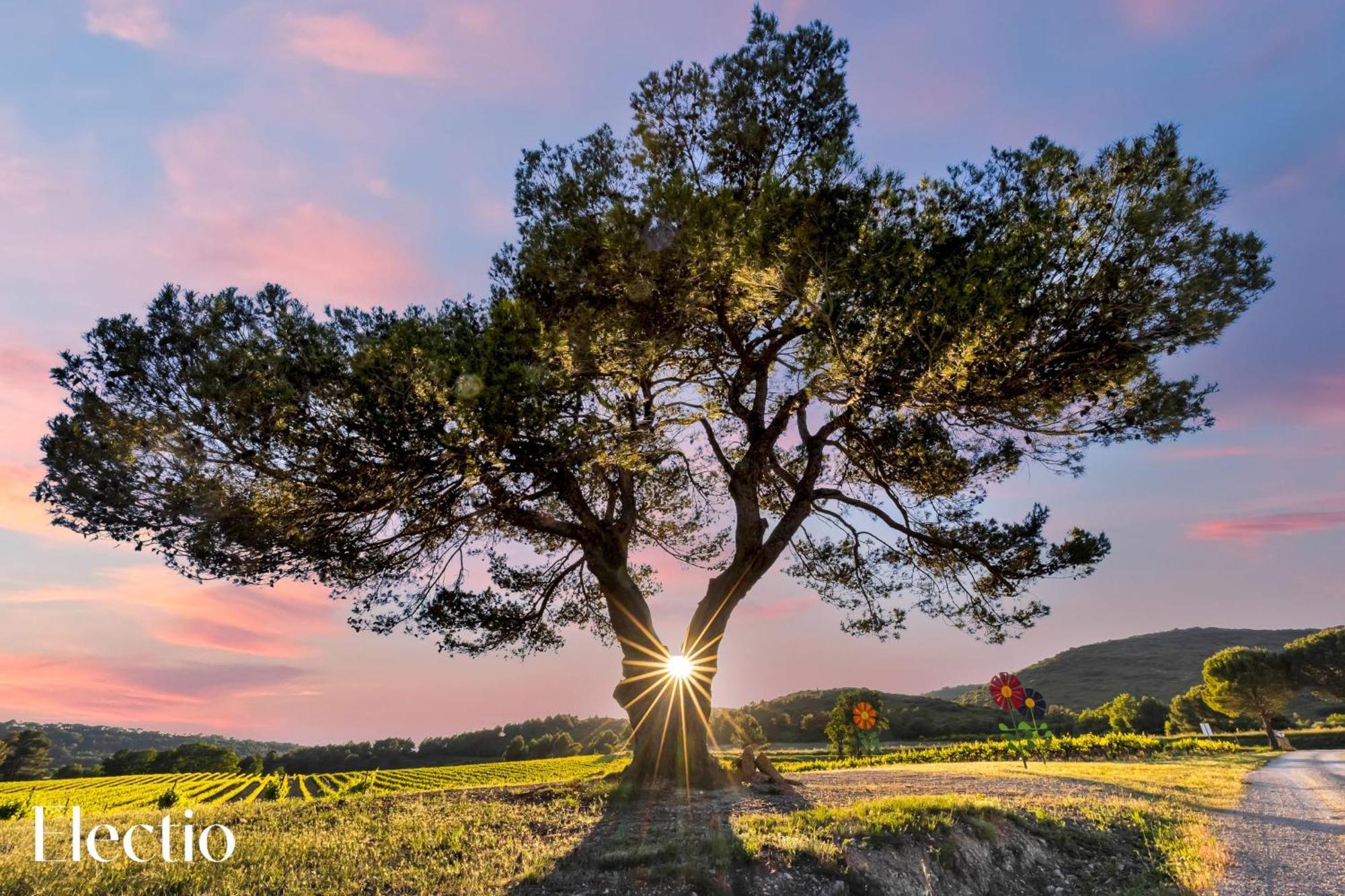 Aparthotel Bastide Domaine Tour Campanets Le Puy-Sainte-Réparade Zewnętrze zdjęcie